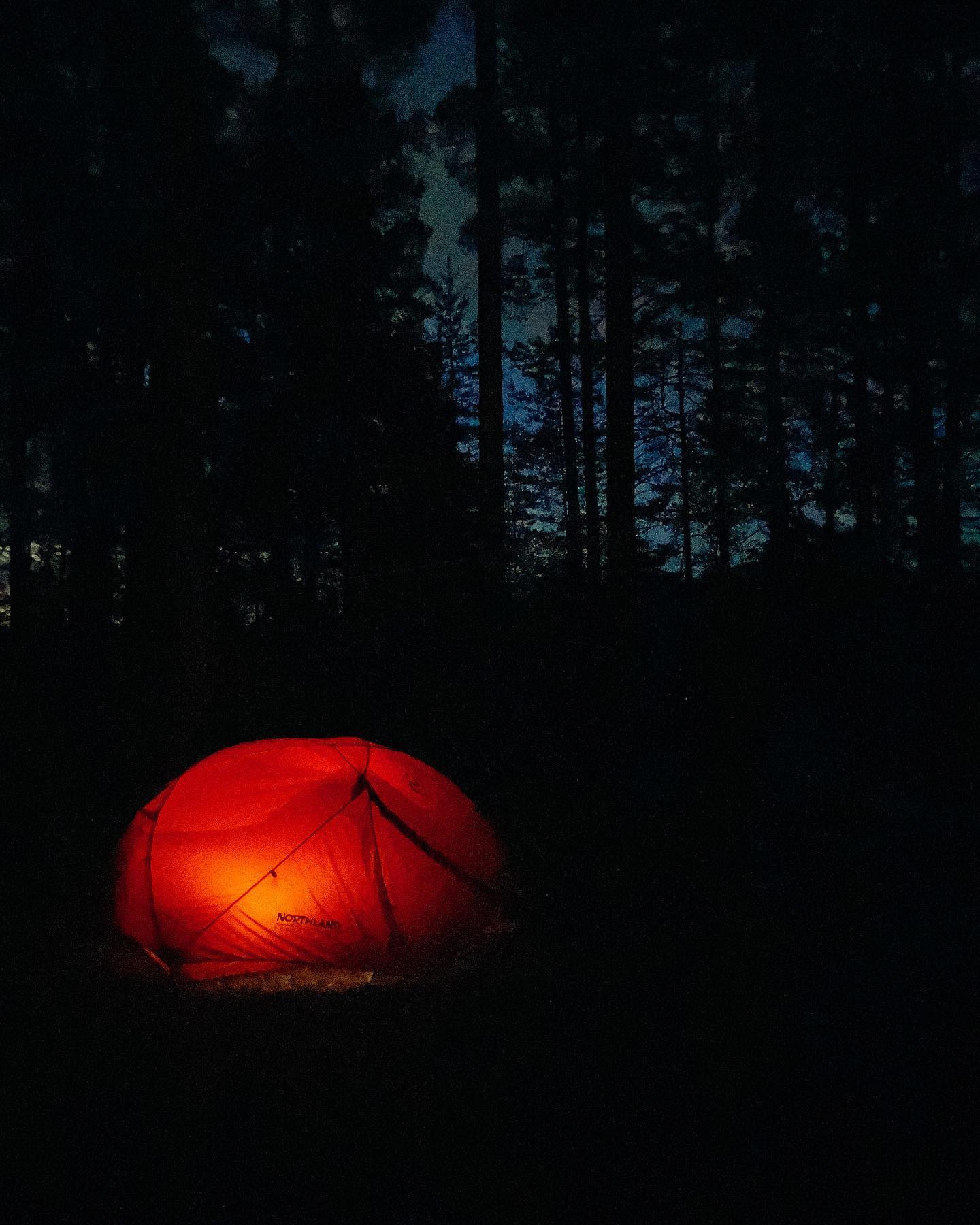 molchanova_l в LOOKY. . 🏕