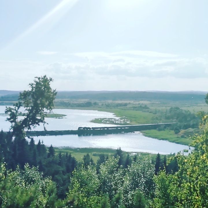 consikus в LOOKY. . Рускеальский экспрес...