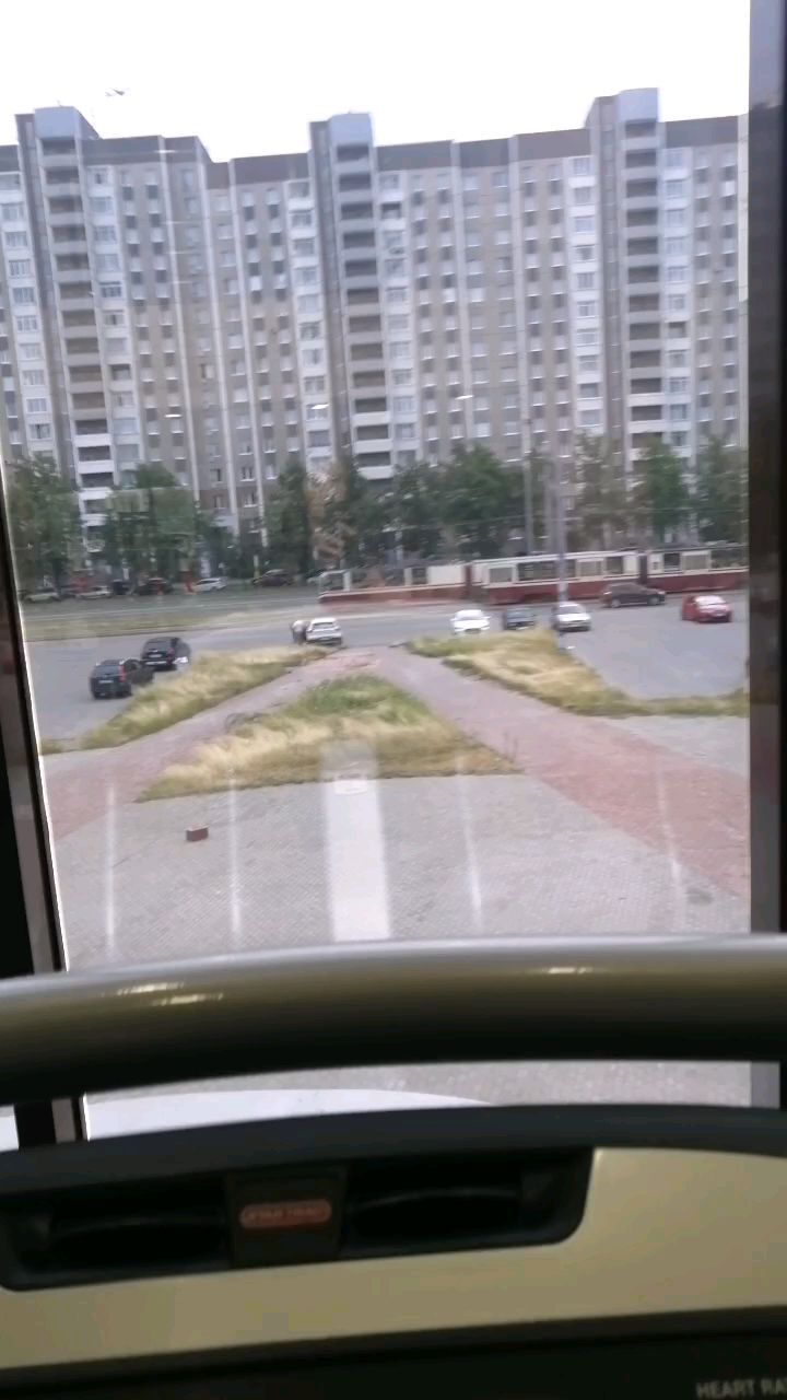 rozali.n в LOOKY. . null