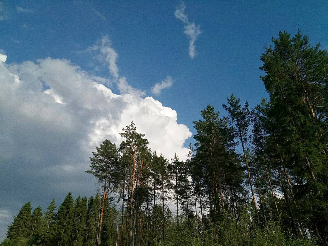 happysquirrel_ в LOOKY — Сегодня вернулась из родных мест. Подзарядилась их нереально