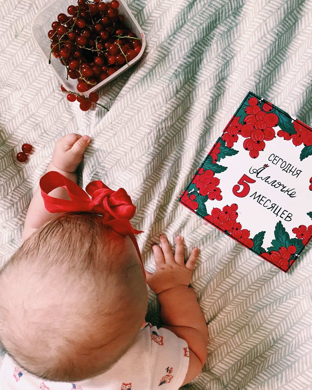 polly_cherry в LOOKY — фото 5