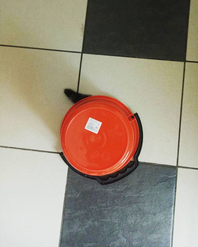 katarinka_kiri in LOOKY. . Из разряда "найди ко...