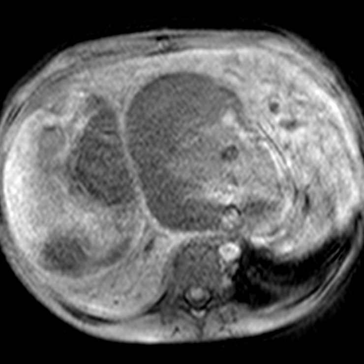 russianradiology в LOOKY — фото 4