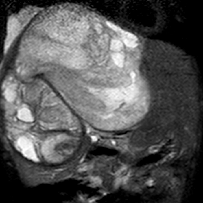 russianradiology в LOOKY — фото 2