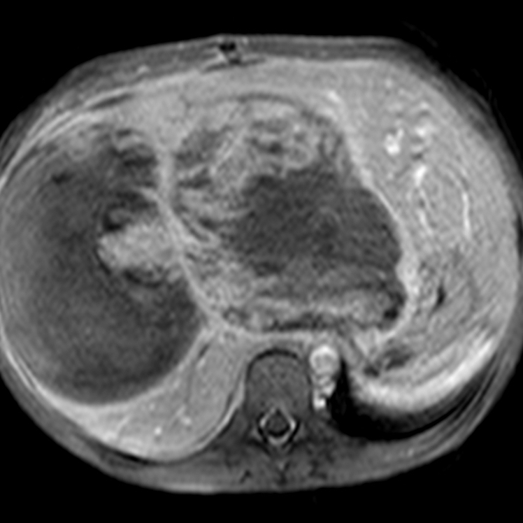 russianradiology в LOOKY — фото 5