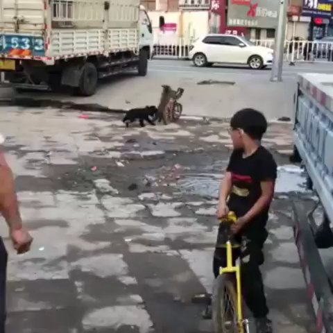 bakar_0944 в LOOKY. #summer,#sun,#happy,#fun,#dog,#hair,#hot,#cool,#fashion,#friends,#smile,#follow4follow,#like4like,#instamood,#family,#nofilter,#amazing,#style,#love,#photooftheday,#lol,#my,#nocrop#gorezclub#canyon,#cyclocross#cyclinglife. 😂😂😂#inshot#cute #...