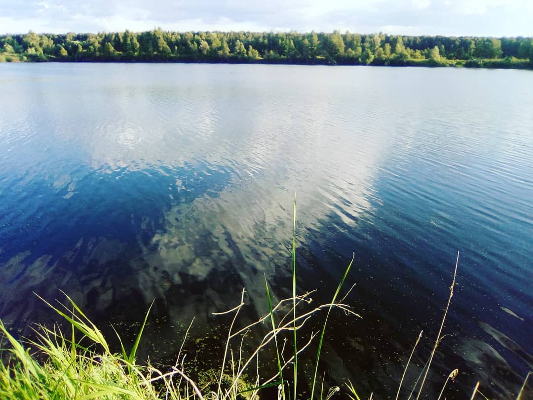 iudestova в LOOKY — Красота)😍💖🌲