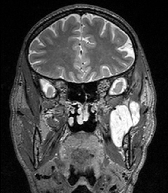 russianradiology в LOOKY — фото 2