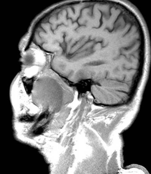 russianradiology в LOOKY — фото 6