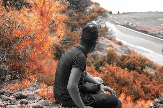dh.aboubakr в LOOKY. . a nature est l'art d...
