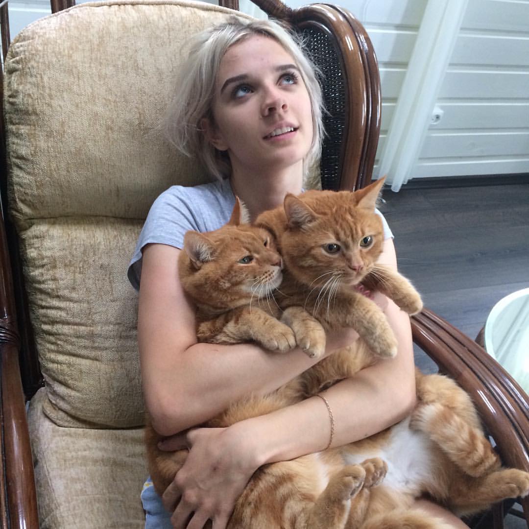 makartmara в LOOKY — #котики.  #любимыеживотные.  #рыжики #рыжиекоты #безкотаижиз