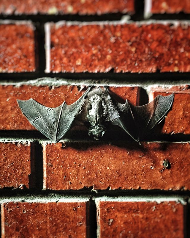 akulakov_ak в LOOKY. . Поселился Batman в п...
