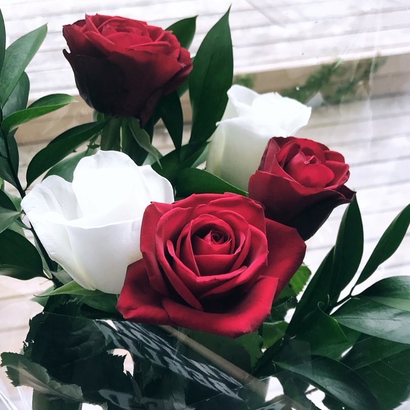 alina_pcv в LOOKY. . Когда мы видим мир г...