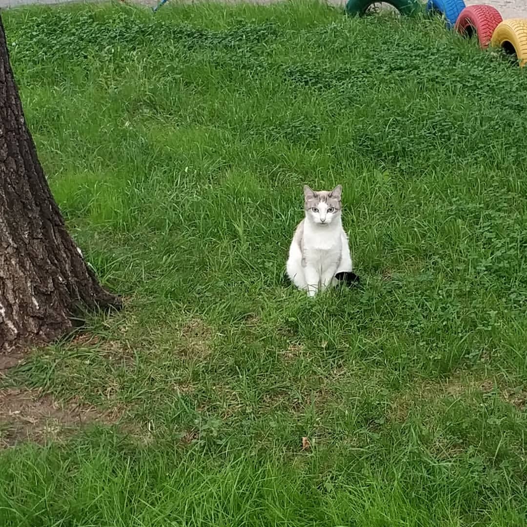 pakhomov.ok в LOOKY. . Балаково - город кош...