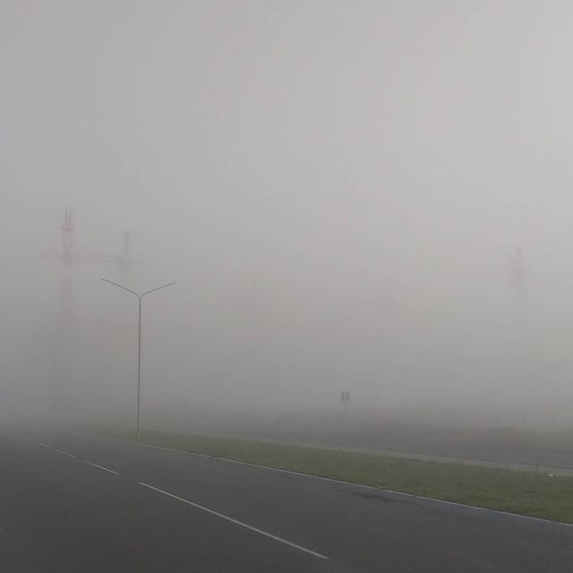 beltalowda_coyo в LOOKY. . Туман туман