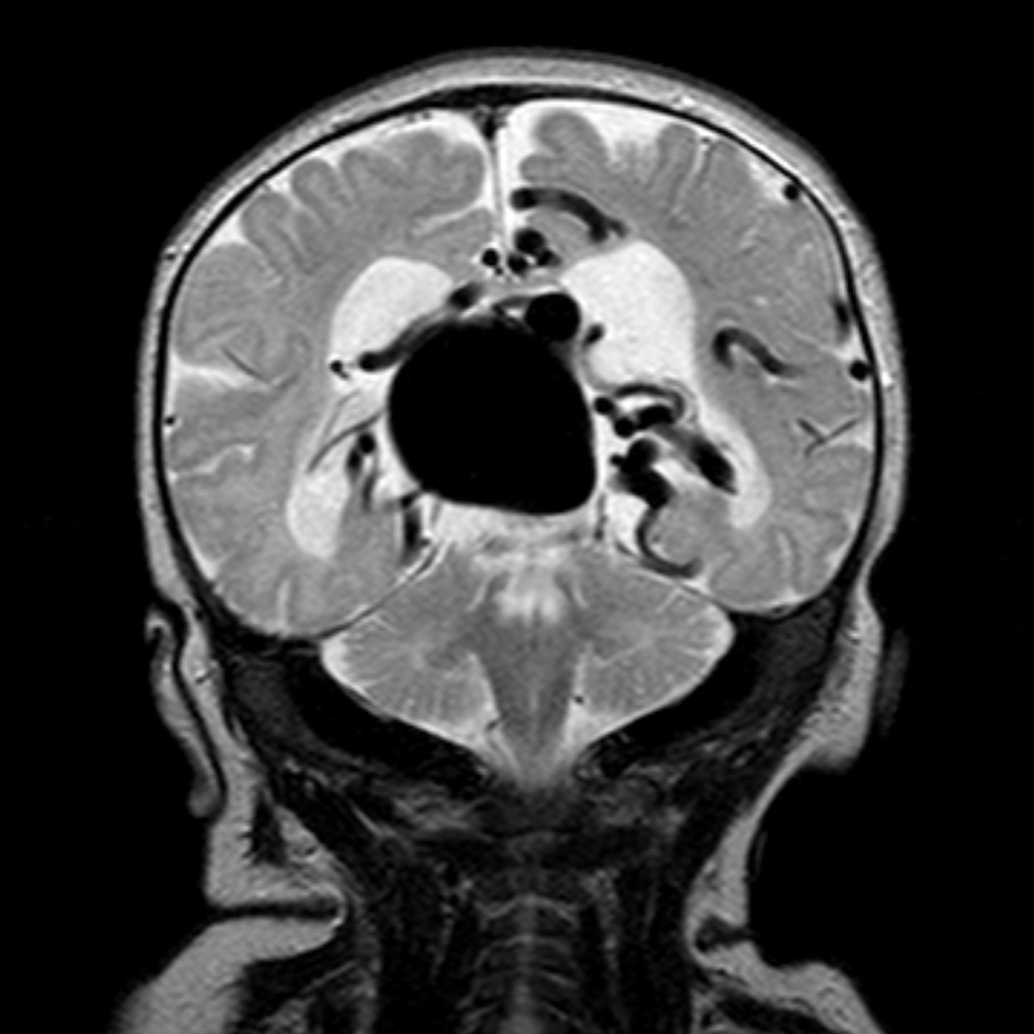 russianradiology в LOOKY — фото 3