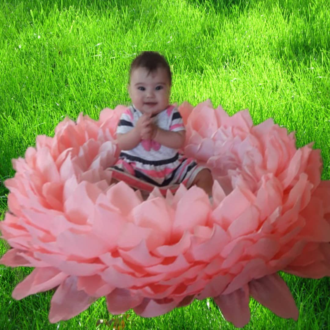 elia_iltinbaeva в LOOKY — 🌺Маленькая Дюймовочка в цветочке🌺
Шикарный пион - беби. Ги