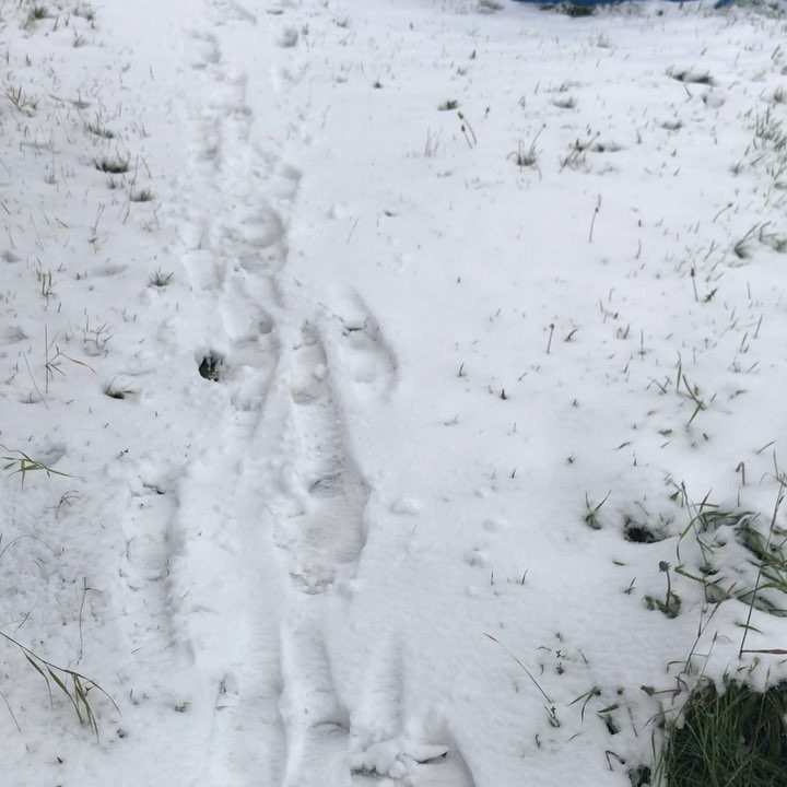 red_de.v.i.l в LOOKY. . 09.09.2018
🤷🏻‍♂️❄️...