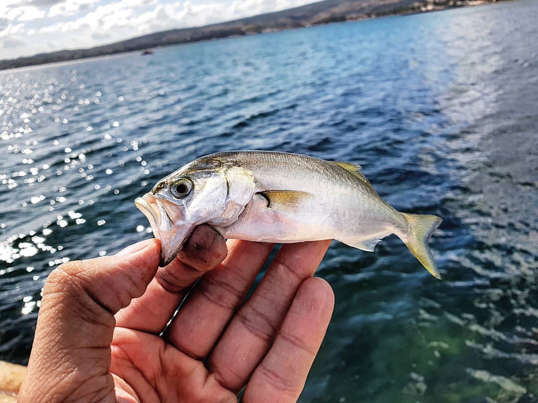 _k4k_angler в LOOKY — фото 4