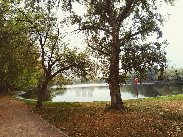 konstantin_rock_music в LOOKY. #autumn,#leaves,#toptags,#fall,#falltime,#season,#seasons,#instafall,#instagood,#instaautumn,#photooftheday,#leaf,#foliage,#colorful,#orange,#red,#autumnweather,#fallweather,#nature,#cloud,#clouds,#cloudy,#cloudporn. 🍂 #autumn #leaves #...