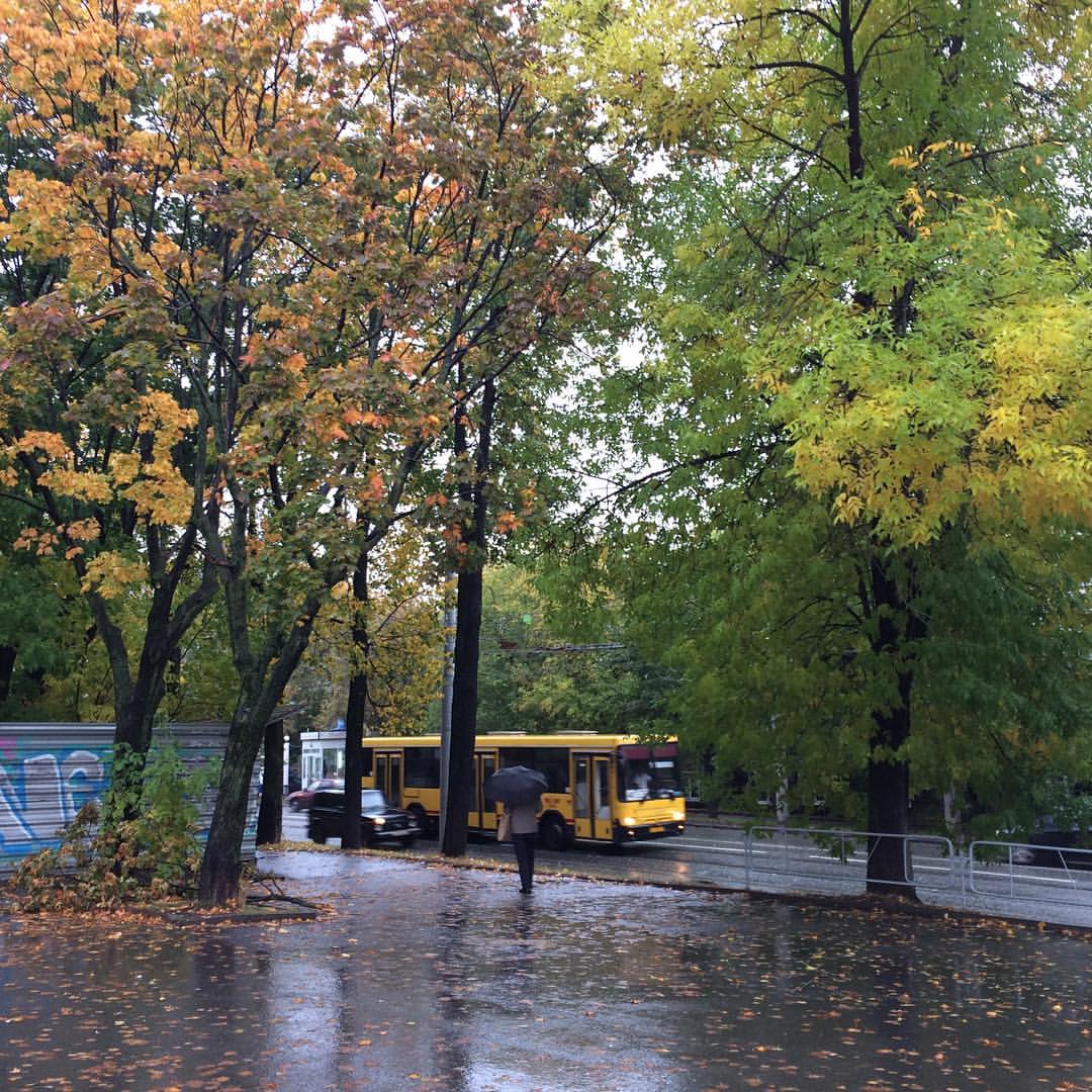 ptshelka в LOOKY — фото 4