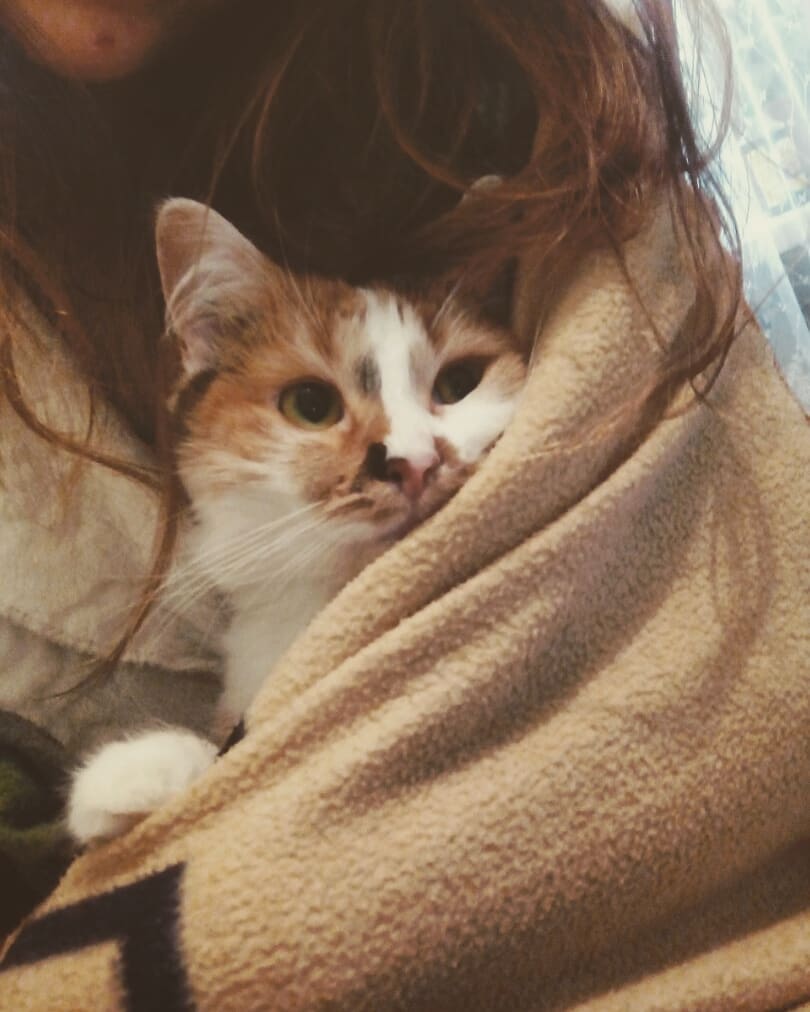 silva_dwellers в LOOKY — публикация