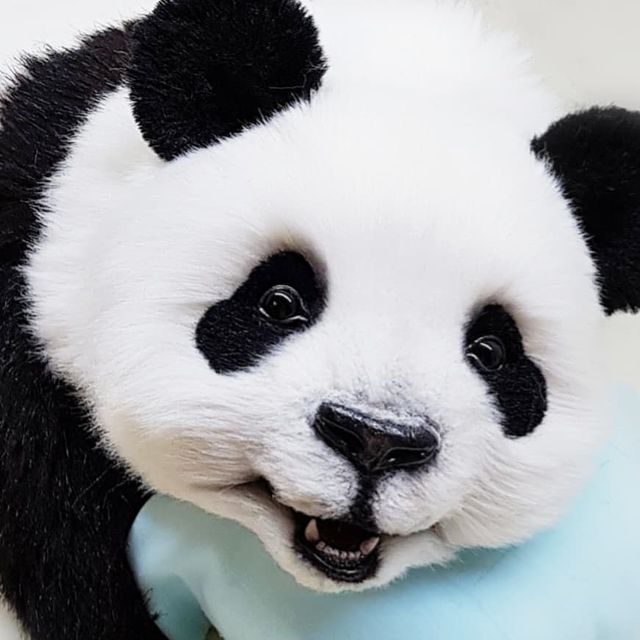 tanya_lisa_ в LOOKY. #domishka,#лето_в_натюре,#mk_verobears. ✌
⠀
Кукусики от панд...