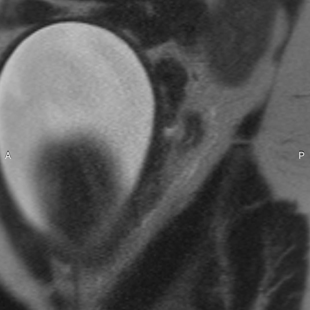 russianradiology в LOOKY — фото 2