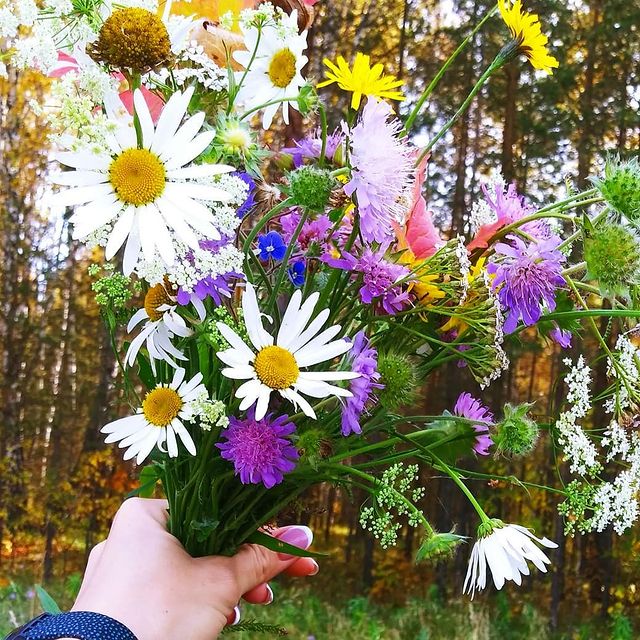 kosterina_ti в LOOKY. . null