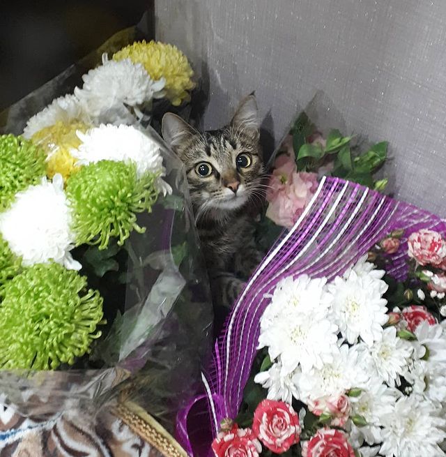 margusya_20 в LOOKY. . У любимой мамочки бы...