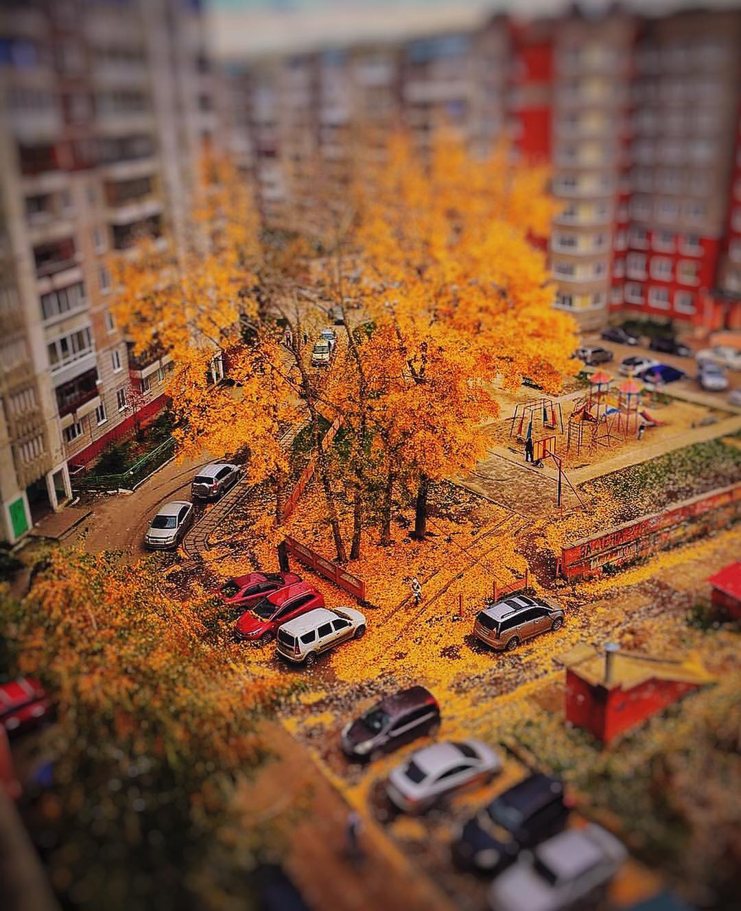 akulakov_ak в LOOKY — В такую погоду осень создает отличное настроение #tomsk #рег