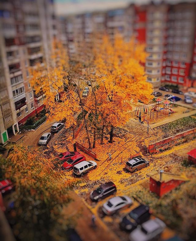 akulakov_ak в LOOKY. #tomsk,#регион70,#томск,#томские,#beautytomsk,#mytomsk. В такую погоду осень...