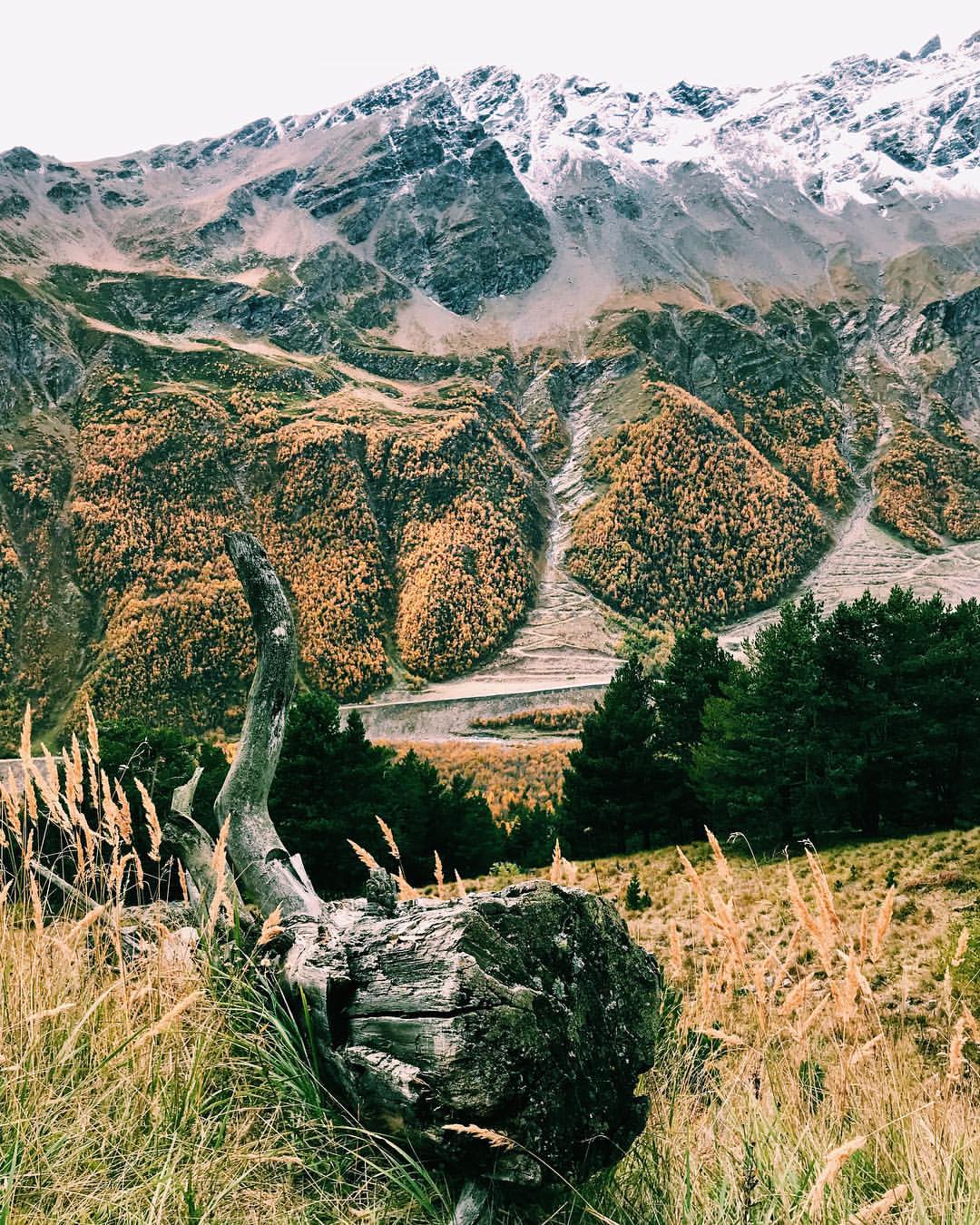 polly_cherry в LOOKY — фото 3