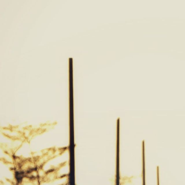 arslanshah60 в LOOKY. . null
