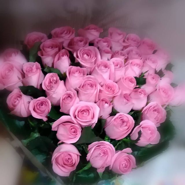 marina_gavruseva в LOOKY. . null