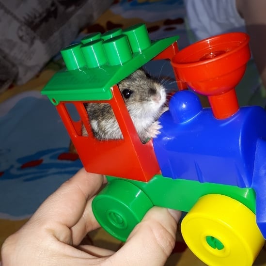 margusya_20 в LOOKY — фото 2