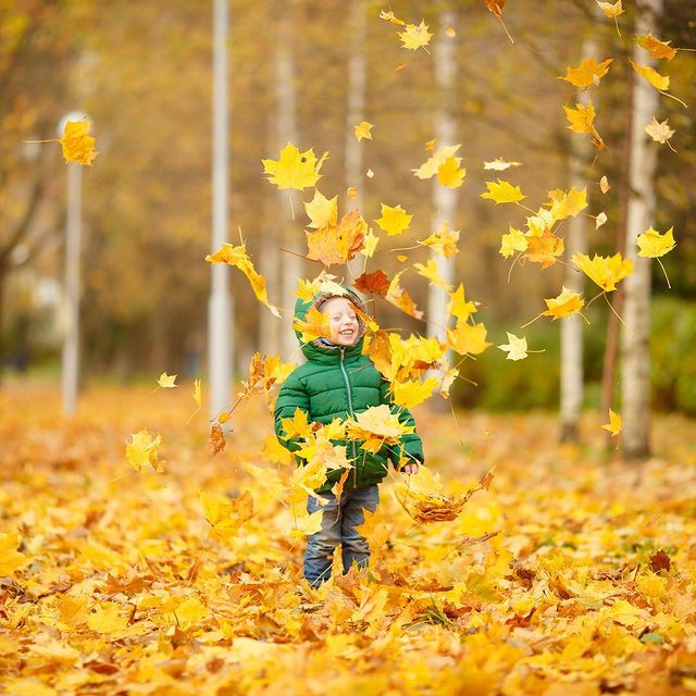 stef_zina в LOOKY. . Расскажите, а как вы...