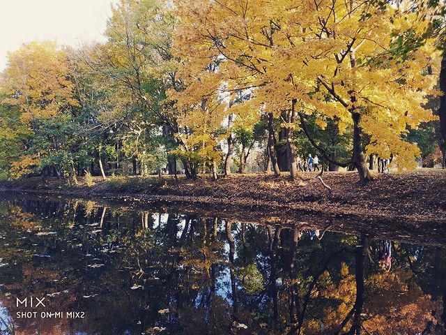stagis86 в LOOKY. . null