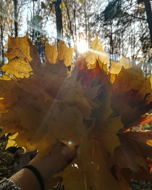marinochka95_ в LOOKY. #autumn🍁🍁🍁. #autumn🍁🍁🍁
