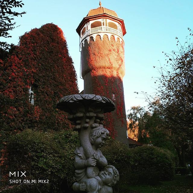 stagis86 в LOOKY. . null