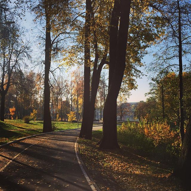 avangardvlz в LOOKY. #осень. #осень