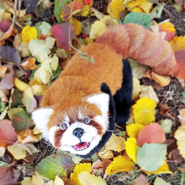 tanya_lisa_ в LOOKY. #лето_в_натюре,#toys,#мимишка. 😃😃😃 Я сделала её ...