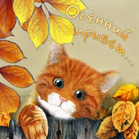 veradobrenkova в LOOKY — публикация