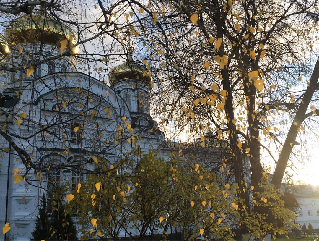 helga16rus в LOOKY — фото 10
