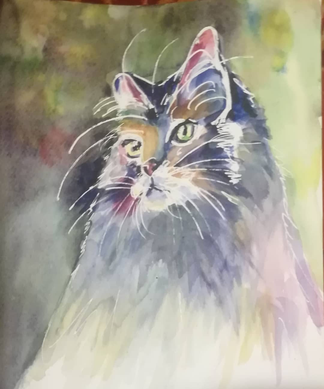 art_irasokolova в LOOKY — Кот. Эта работа сделана по заказу. Акварель. Бумага 300г. 24