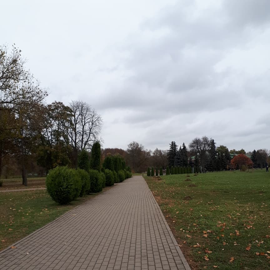 madam_romanova_annet в LOOKY — фото 7