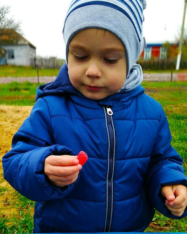 manya_409 in LOOKY. #древовиднаямалина. Последняя малинка в ...