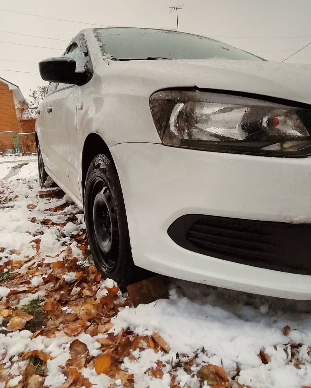 Ильяр в LOOKY — Снежок ❄