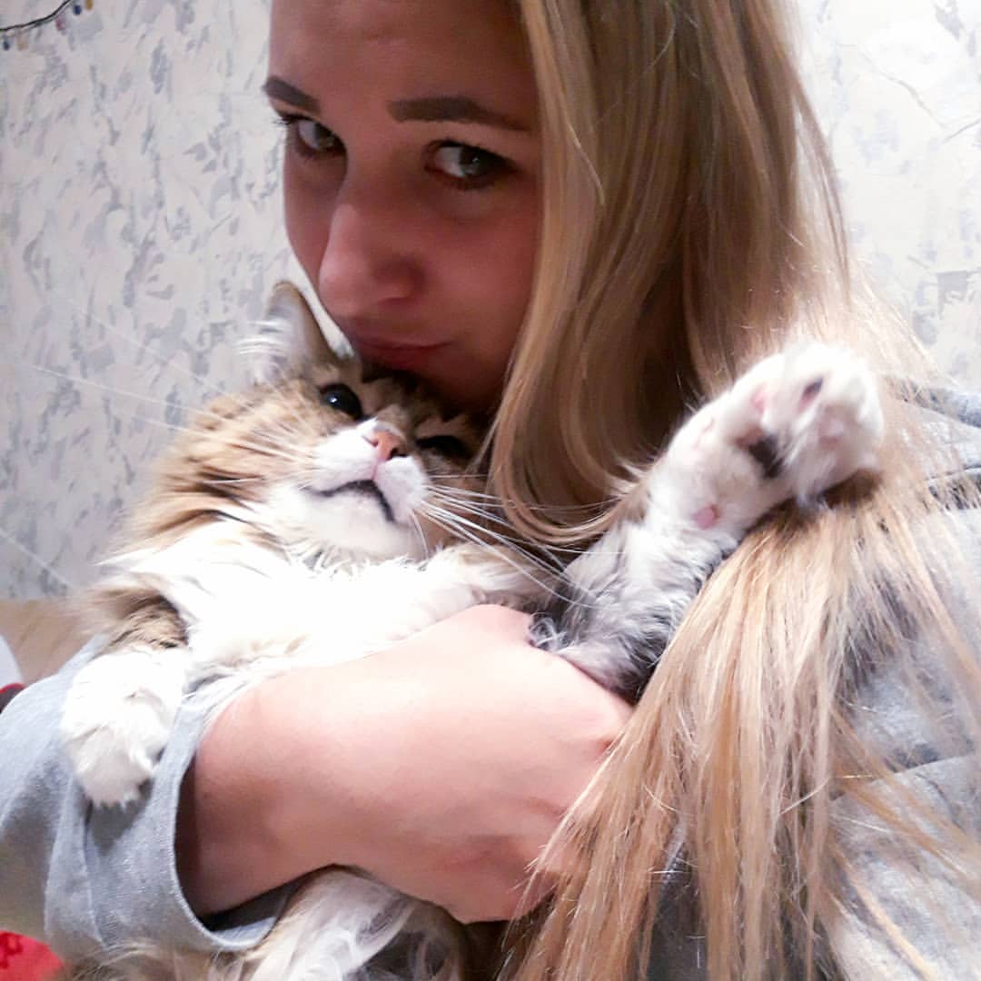 evgesha.koks в LOOKY — #шмель