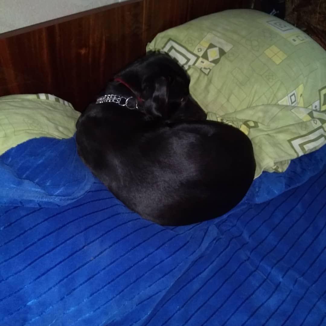 mana_tyata в LOOKY — фото 2